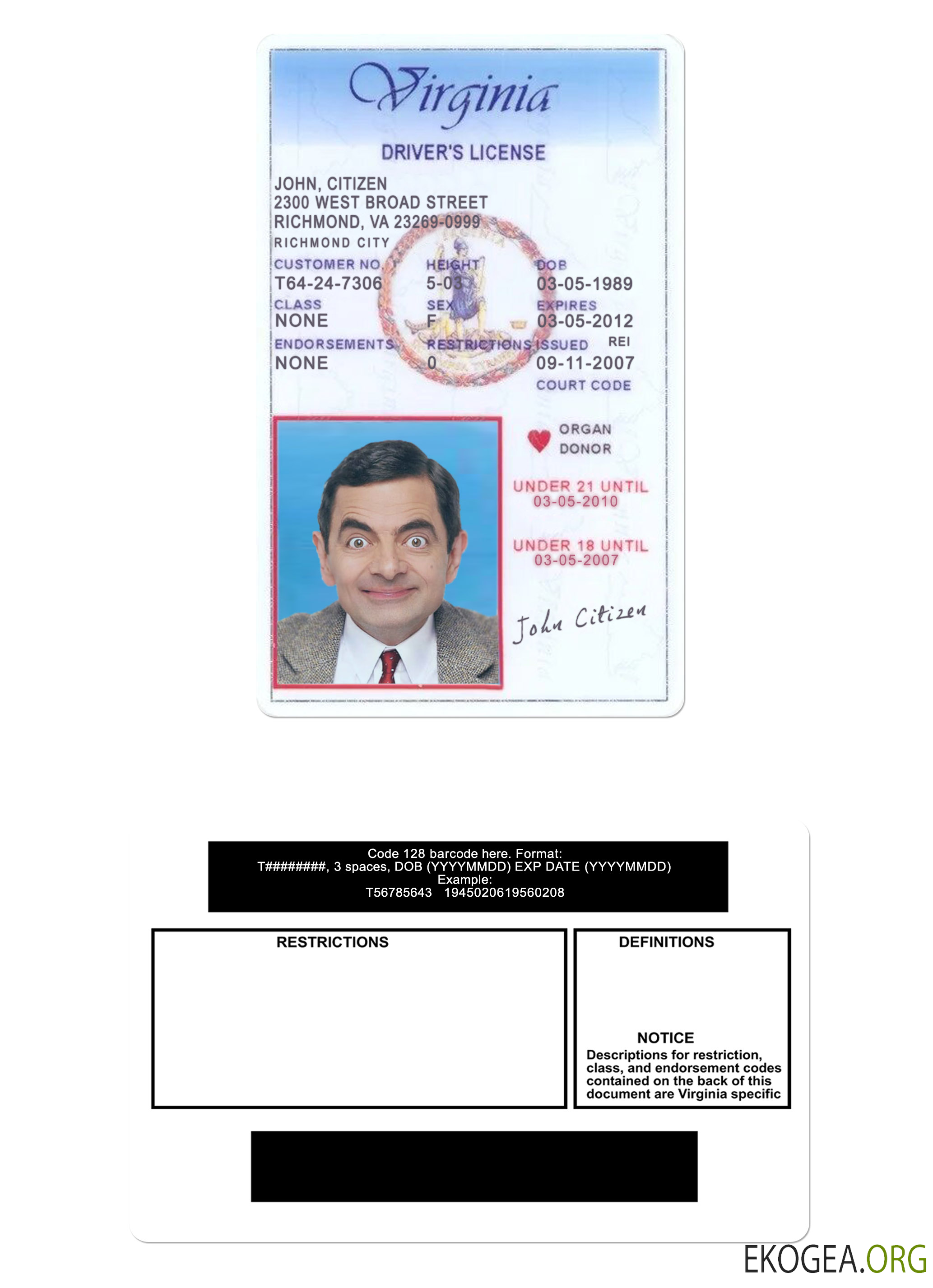 Usa Virginia driving license under 21 template
